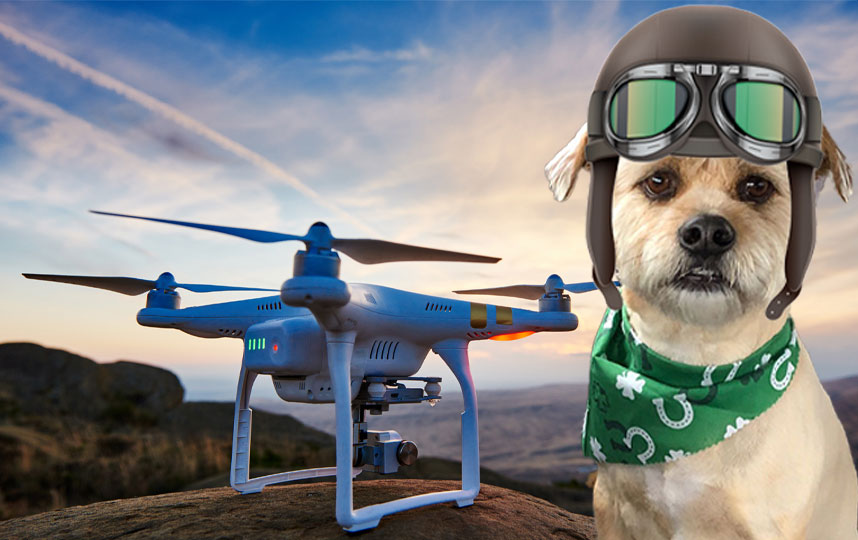 aerial video drone copilot Ryder