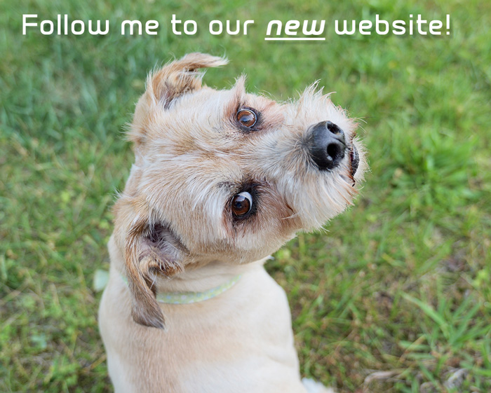 Follow me to our new website!